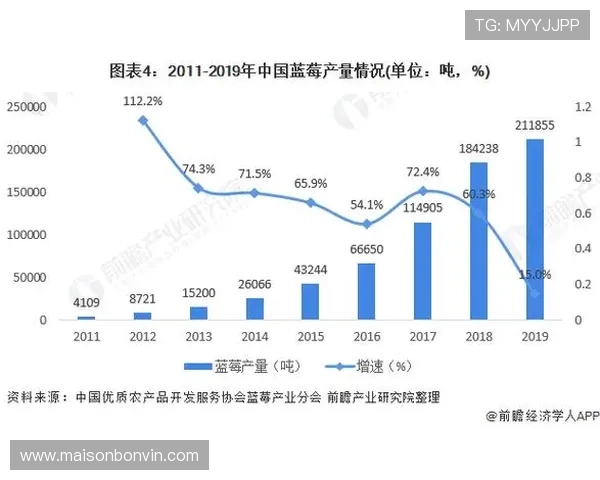 888电子娱乐的未来发展趋势与行业竞争格局深度剖析