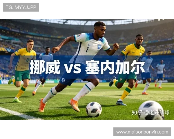 世界杯挪威对塞内加尔精彩回放全场高光瞬间全面解析